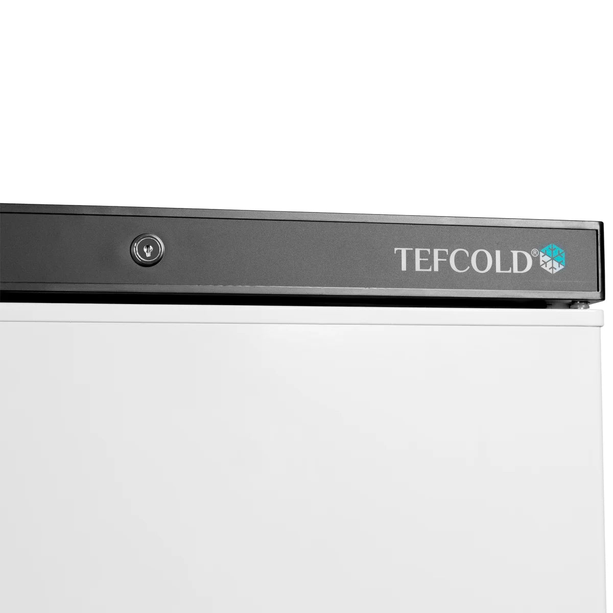Tefcold Lagergefrierschrank UF400