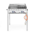 Grill à gaz Green Fire PROFI LINE - 2 brûleurs