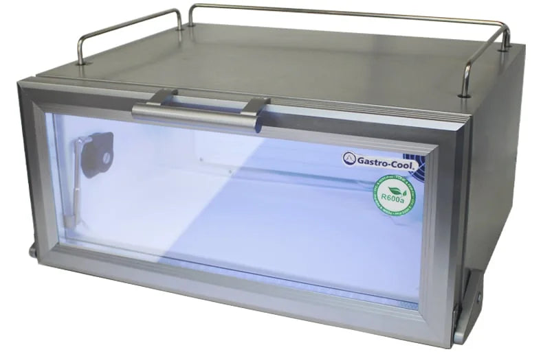 Réfrigérateur professionnel mini-bar argenté/blanc - 22 l - porte vitrée - froid statique 