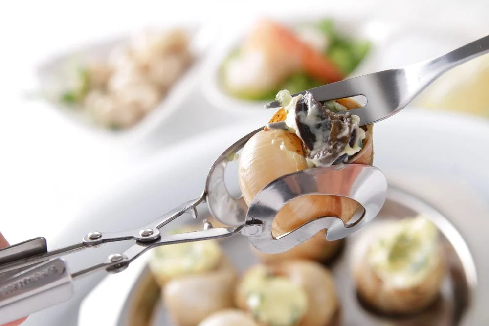 Pince à escargots modèle à presser Kneifmoell en acier inoxydable