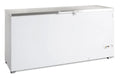 Coffre congélateur Tefcold FR 605 S