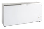 Coffre congélateur Tefcold FR 605 S