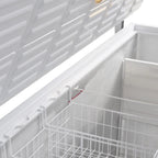 Coffre congélateur Tefcold FR 605 S
