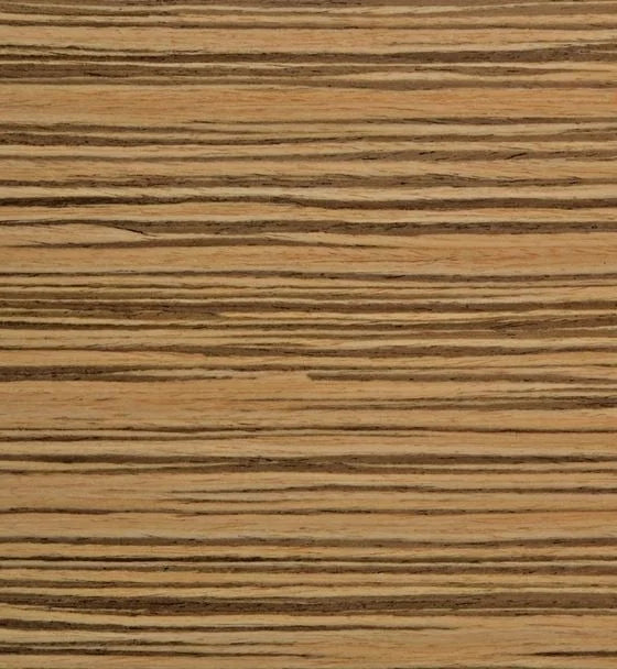 Bolero Esszimmerstühle Buchenfurnier Zebrano - 4 Stück