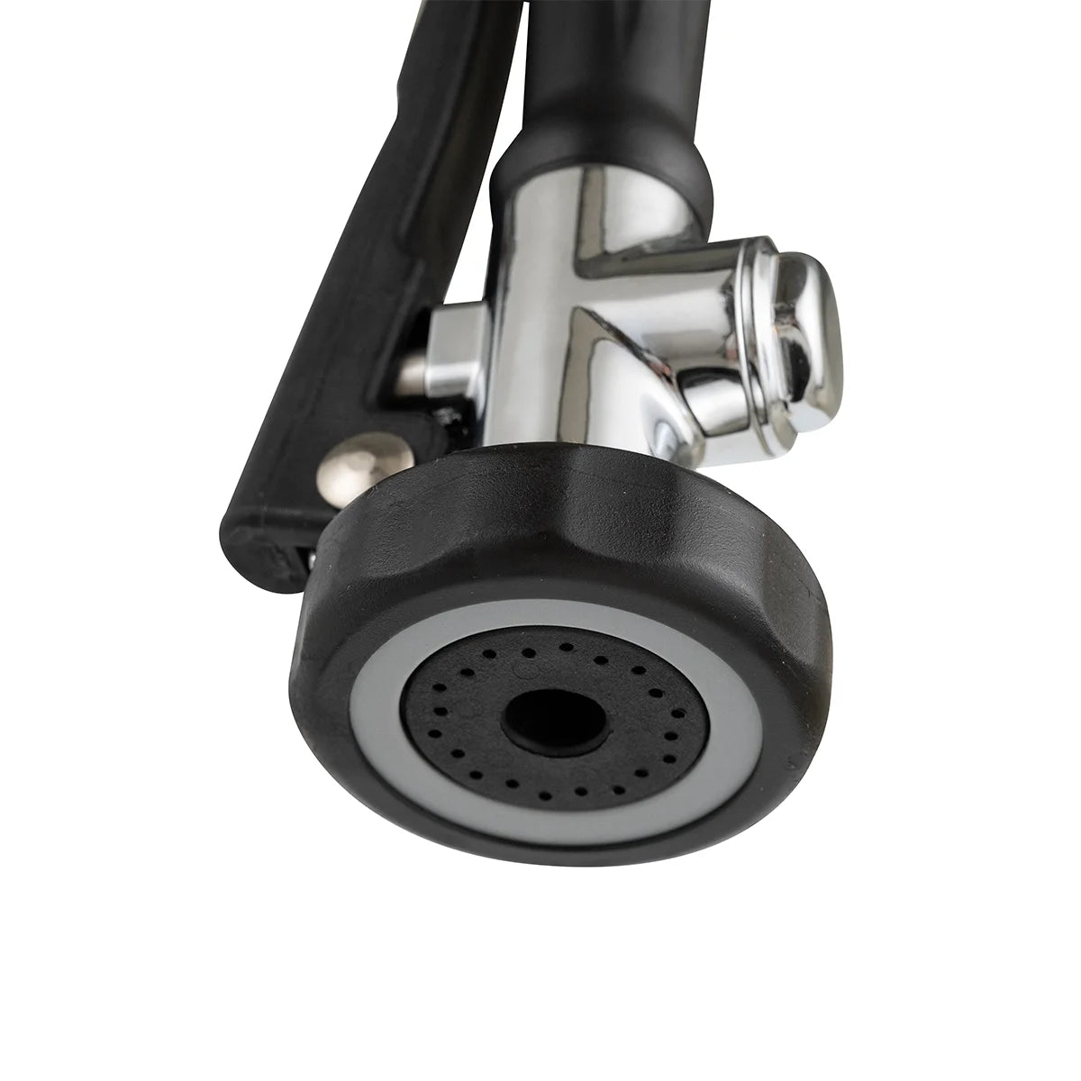 Douchette professionnelle à deux trous 200 + Mitigeur
