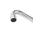 Douchette professionnelle monotrou 200 + mitigeur