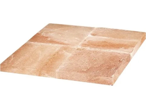 FORCAR Salzblock für Dry-Ager G-GDPH508C